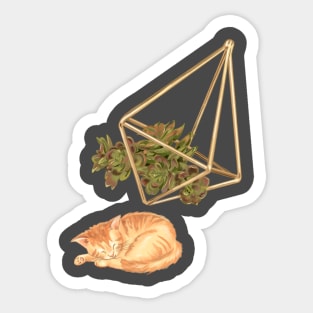 Geometric Succulent Planter and Cat Sticker